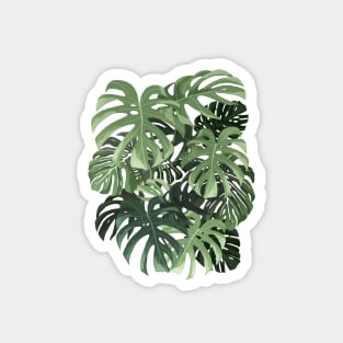 Monstera Deliciosa Leaves Magnet