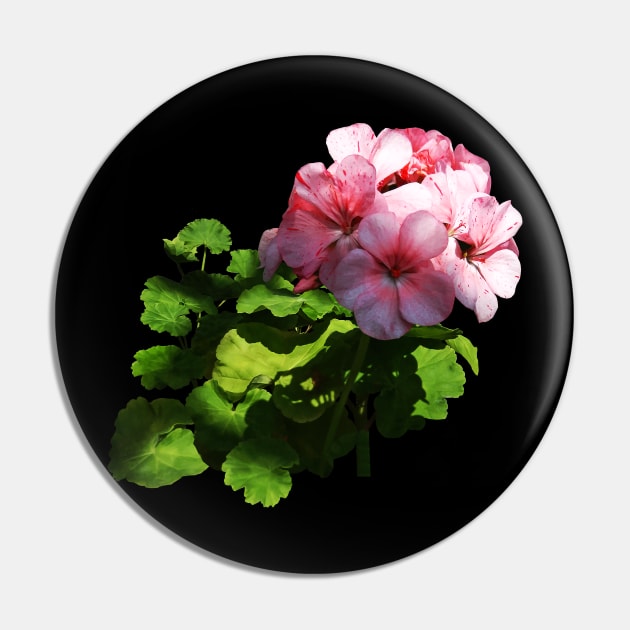 Geraniums - Pale Pink Geranium Pin by SusanSavad