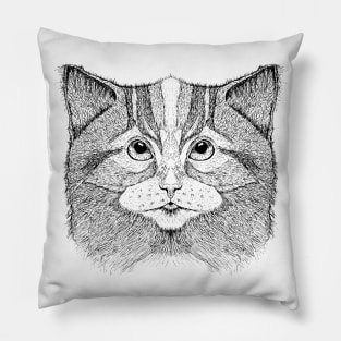 Cat 11 Pillow