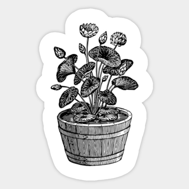Limited Edition Exclusive Potted Plant 10 - 