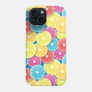 Citrus fruit slices pop art 2 Phone Case