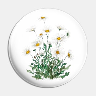 white Margaret daisy watercolor Pin