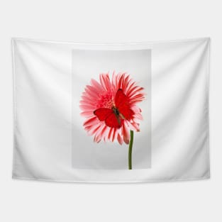 Red Butterfly On Pink Mum Tapestry