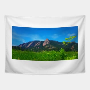 Rocky Mountains Tapestry