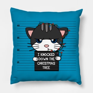 Cat's mugshot Pillow