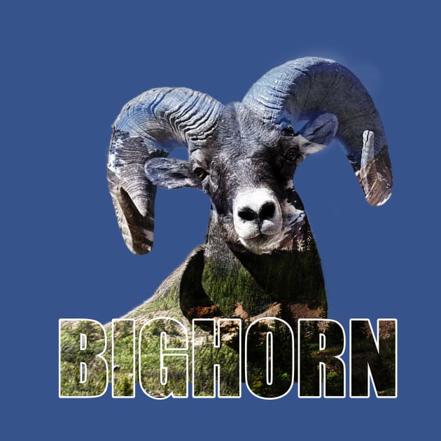 The Bighorn by The Dirty Hippie