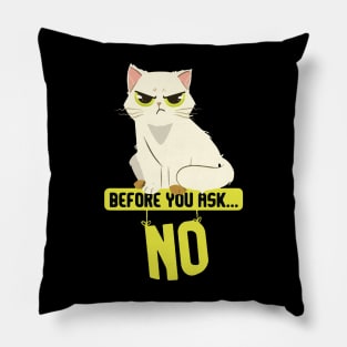 Before You Ask No Cat Mature Content Pillow