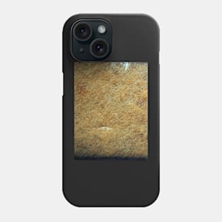 stone rifled Phone Case