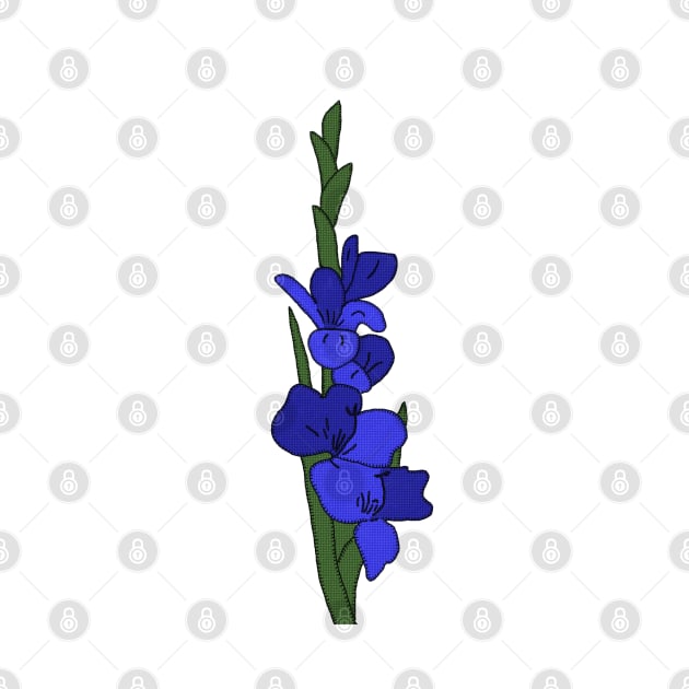 Blaue Gladiole by Blumchen