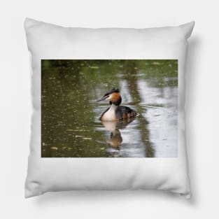 Great Crested Grebe Pillow