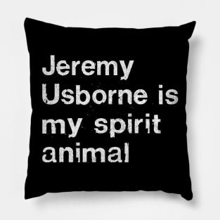 Jeremy Usborne Is My Spirit Animal / Peep Show Fan Gift Pillow