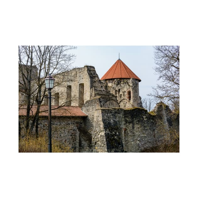 Ruins of medieval castle in Cesis, Latvia by lena-maximova