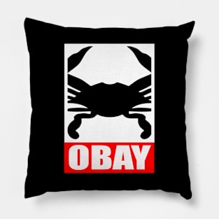 OBAY Pillow