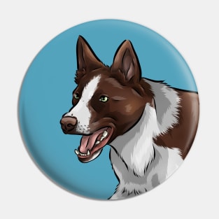 Smooth Coated Border Collie Dog | Chocolate and White Pin