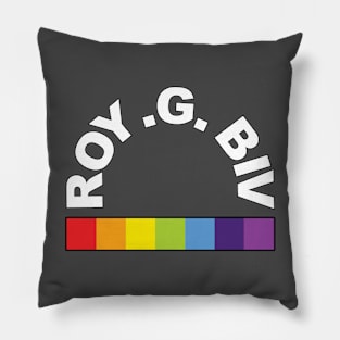 ROY .G. BIV 03 Pillow