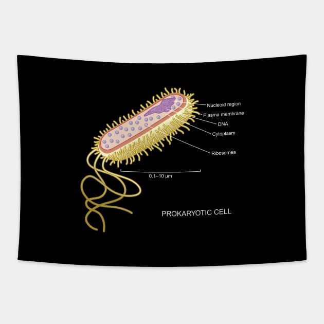 Prokaryotic Cell Tapestry by Science Design