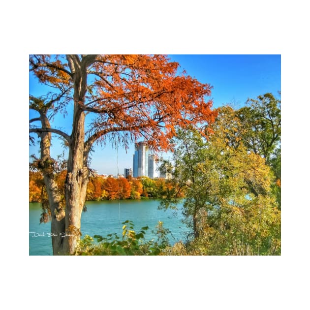 Town Lake - Austin Texas by davidbstudios