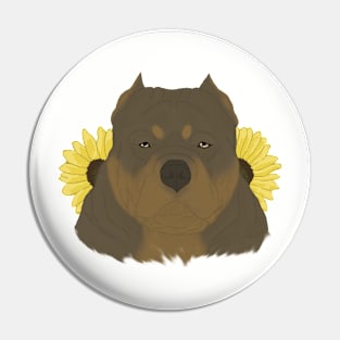 Chocolate Tan American Bully with Sunflowers Pin