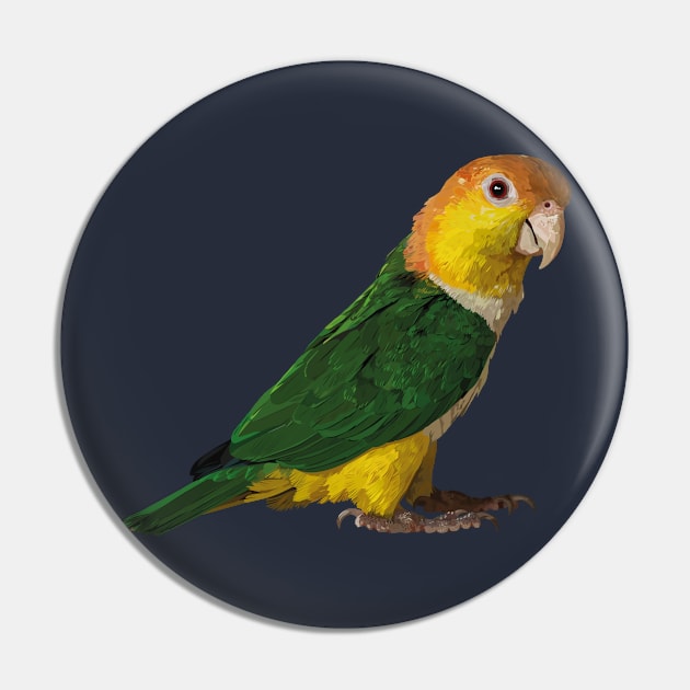 yellow-headed caique Pin by obscurite