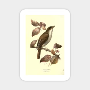 Nightingale Magnet