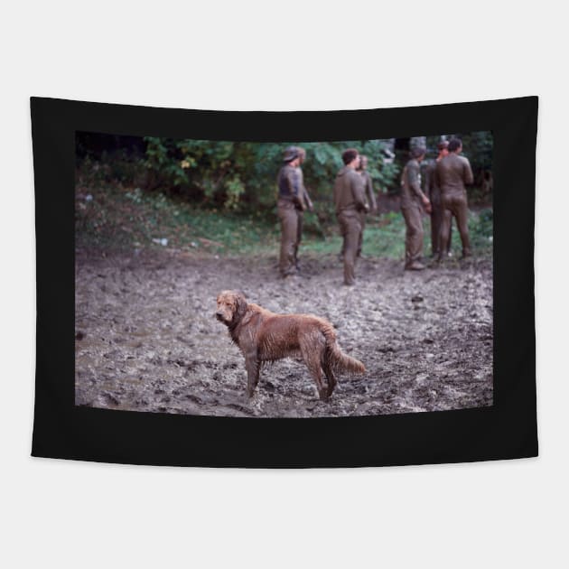 Dartmouth Dog Tapestry by robophoto