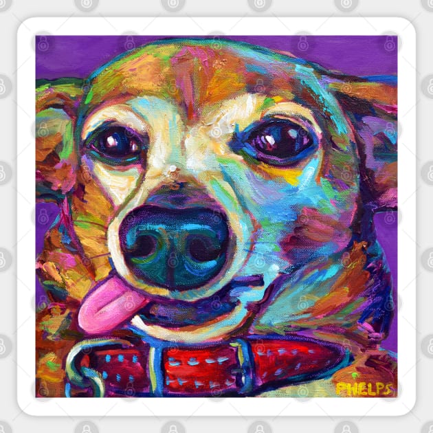 Cute Derpy Chiweenie Puppy on Violet Chiweenie Sticker TeePublic