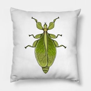 Female leaf insect phasmid Pillow