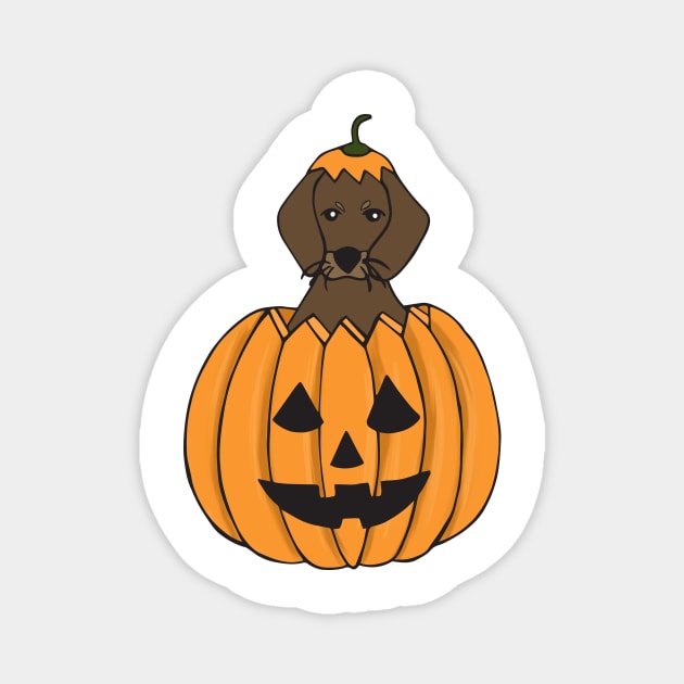 Dachshund in a Halloween Pumpkin Magnet by estudioanzol