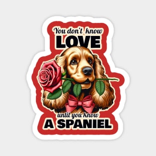 Spaniel Valentine's day Magnet