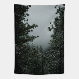 Backwoods Winter Tapestry