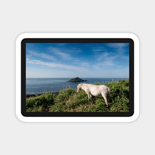 Mewstone Island and Dartmoor Pony Magnet