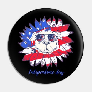 Independence day of America Pin