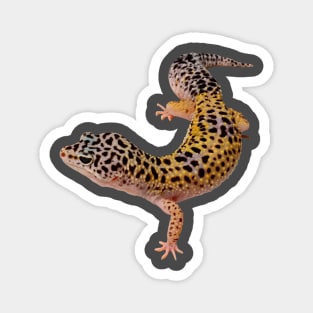 Leopard Gekko Magnet