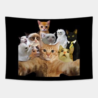 Cat Selfie Cat Tapestry