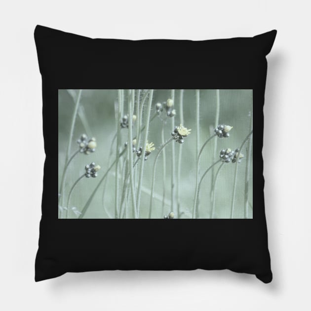 wildflowers Pillow by LaurieMinor