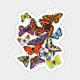 Butterflies Magnet