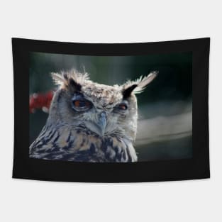 Eagle Owl Tapestry