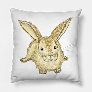 Rabbit Pillow