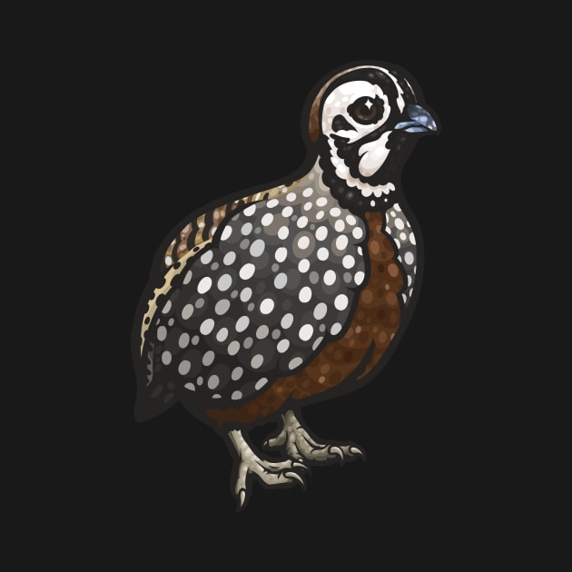 Montezuma Quail by Ginboy