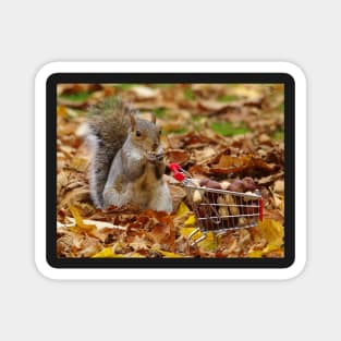 squirrel with shopping cart Magnet