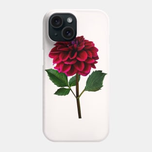 Red Dahlia in Sunshine Phone Case