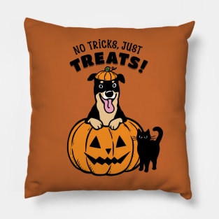 Rottweiler Halloween No Tricks Just Treats Pillow