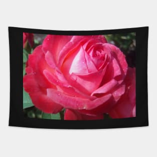 Bright Sun Hot Pink Rose Photo Print And Others Tapestry