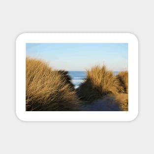 Sand Dunes at Bamburgh Magnet