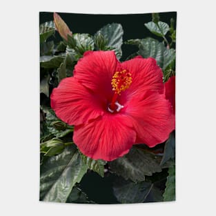 Red Hibiscus Tapestry