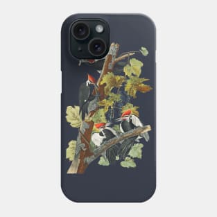 Pileated Woodpecker from Birds of America Phone Case