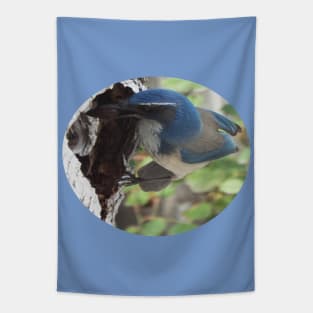 Blue Scrub Jay Hiding Acorn Tapestry