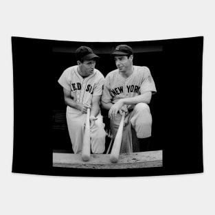 Ted Williams joe dimaggio Tapestry