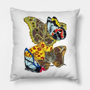 Butterflies Watercolor #13 Pillow