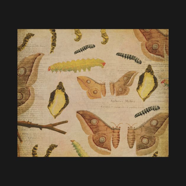 Vintage moth caterpillar design. by madhatdesigns